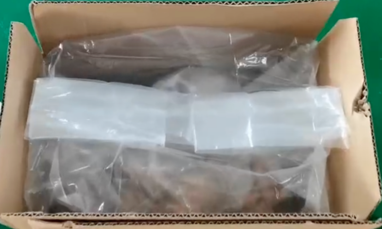 重庆武隆区提袋封口机电机